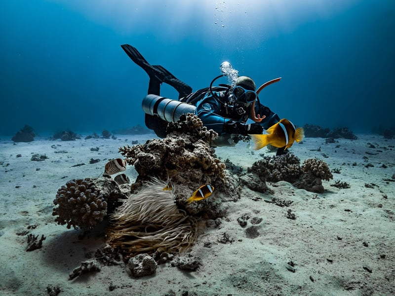 Snorkel